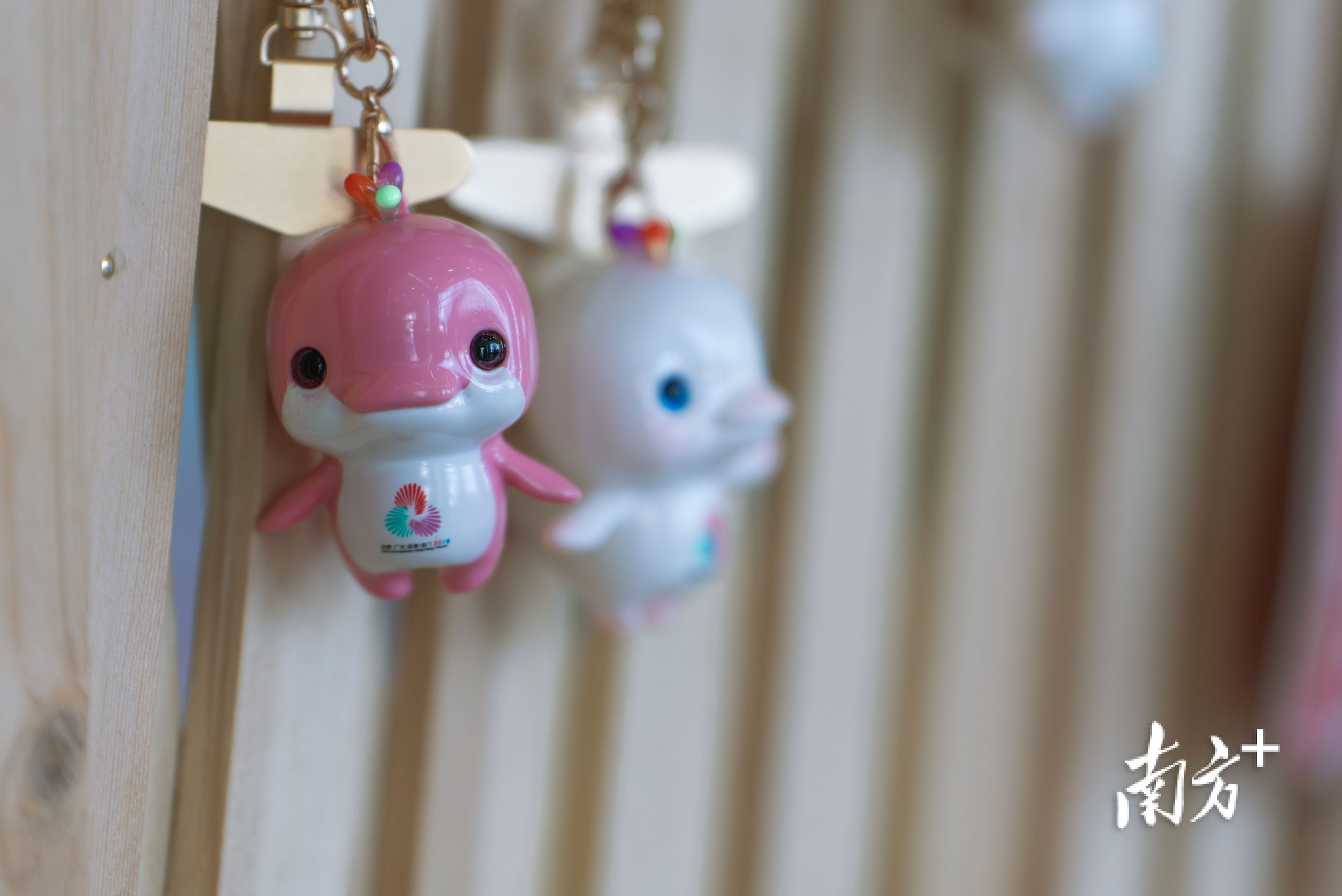 img, 愿服务方面