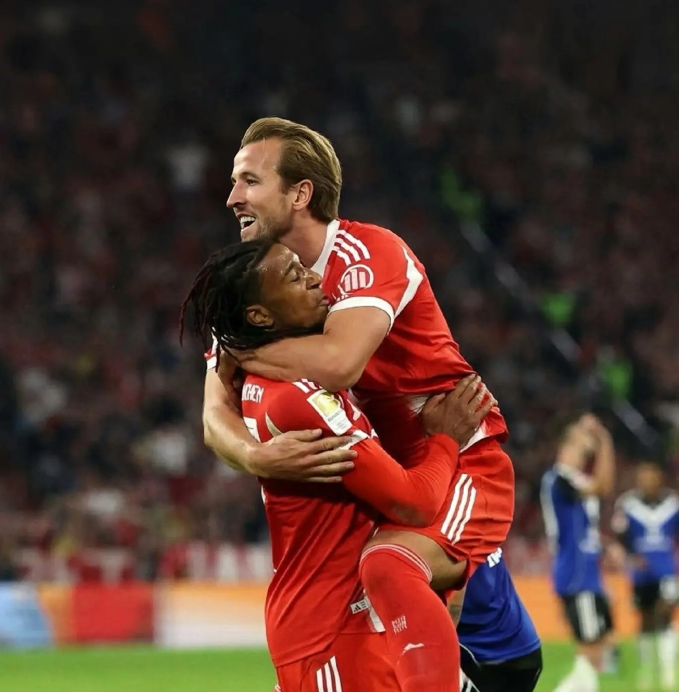 赛季各项赛, 帕夫洛维奇